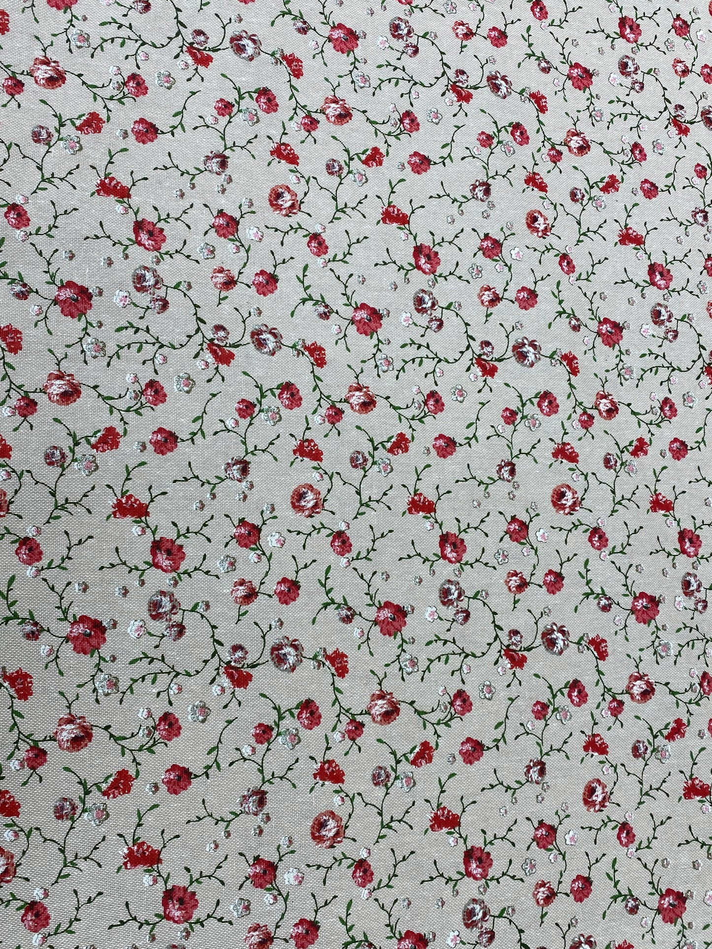 PANAMA LES FLEURS H280