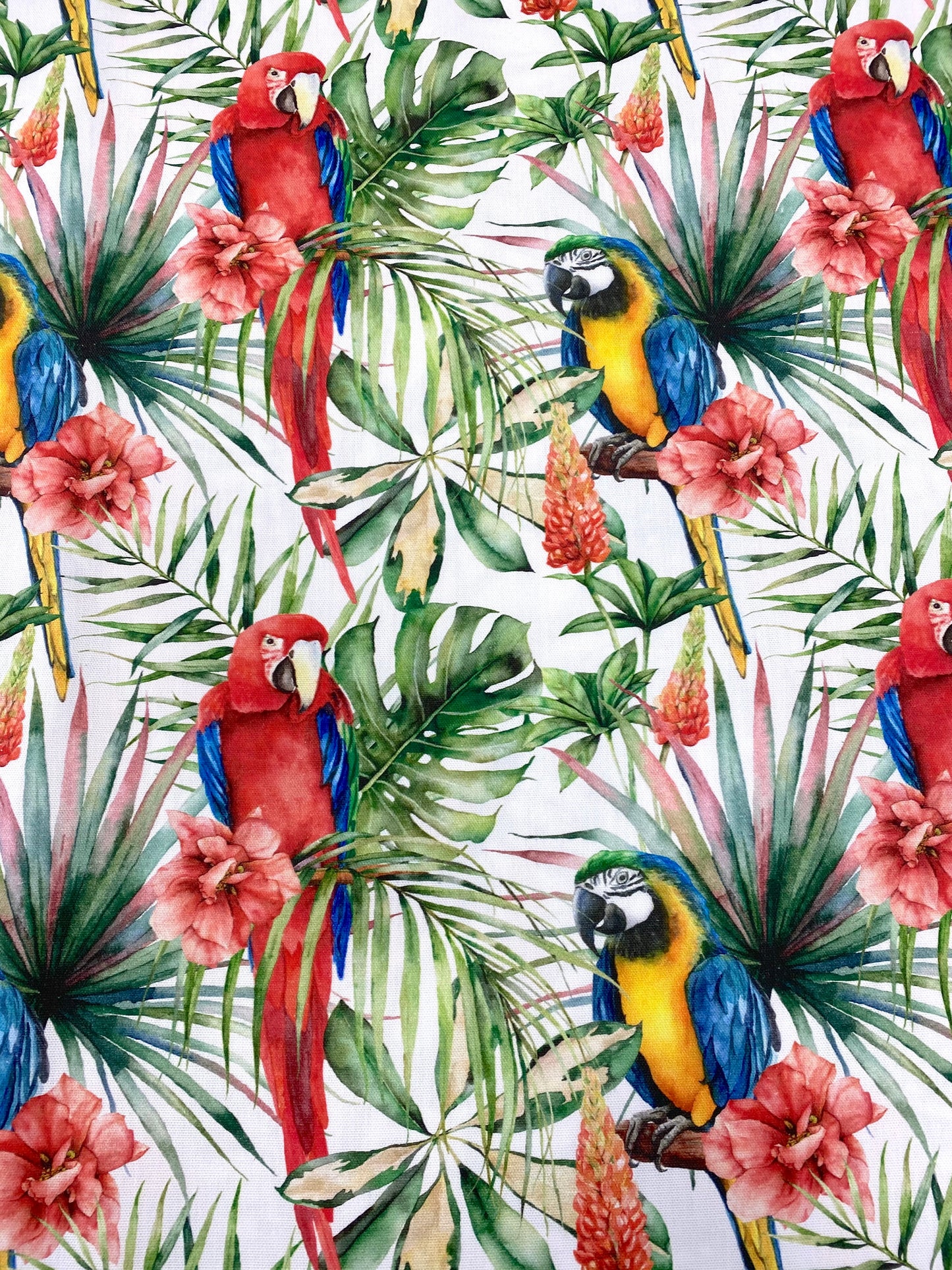 PANAMA STAMPA DIGITALE