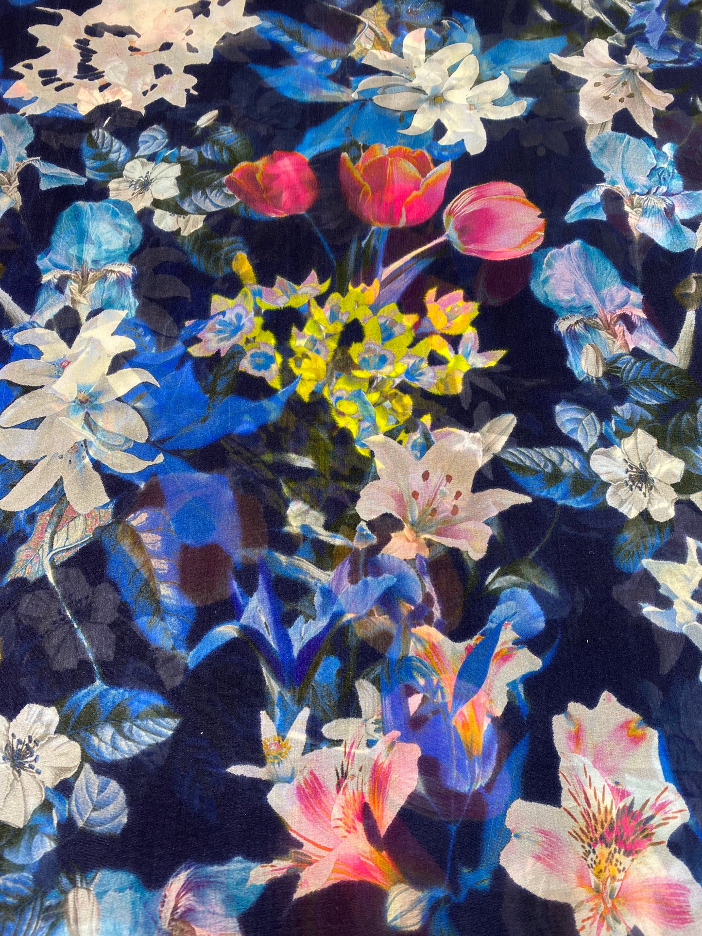 VOILE IN FANTASIA