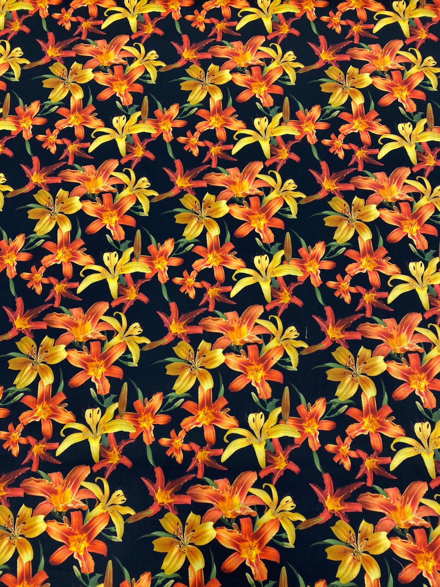 RASO COTONE STAMPATO