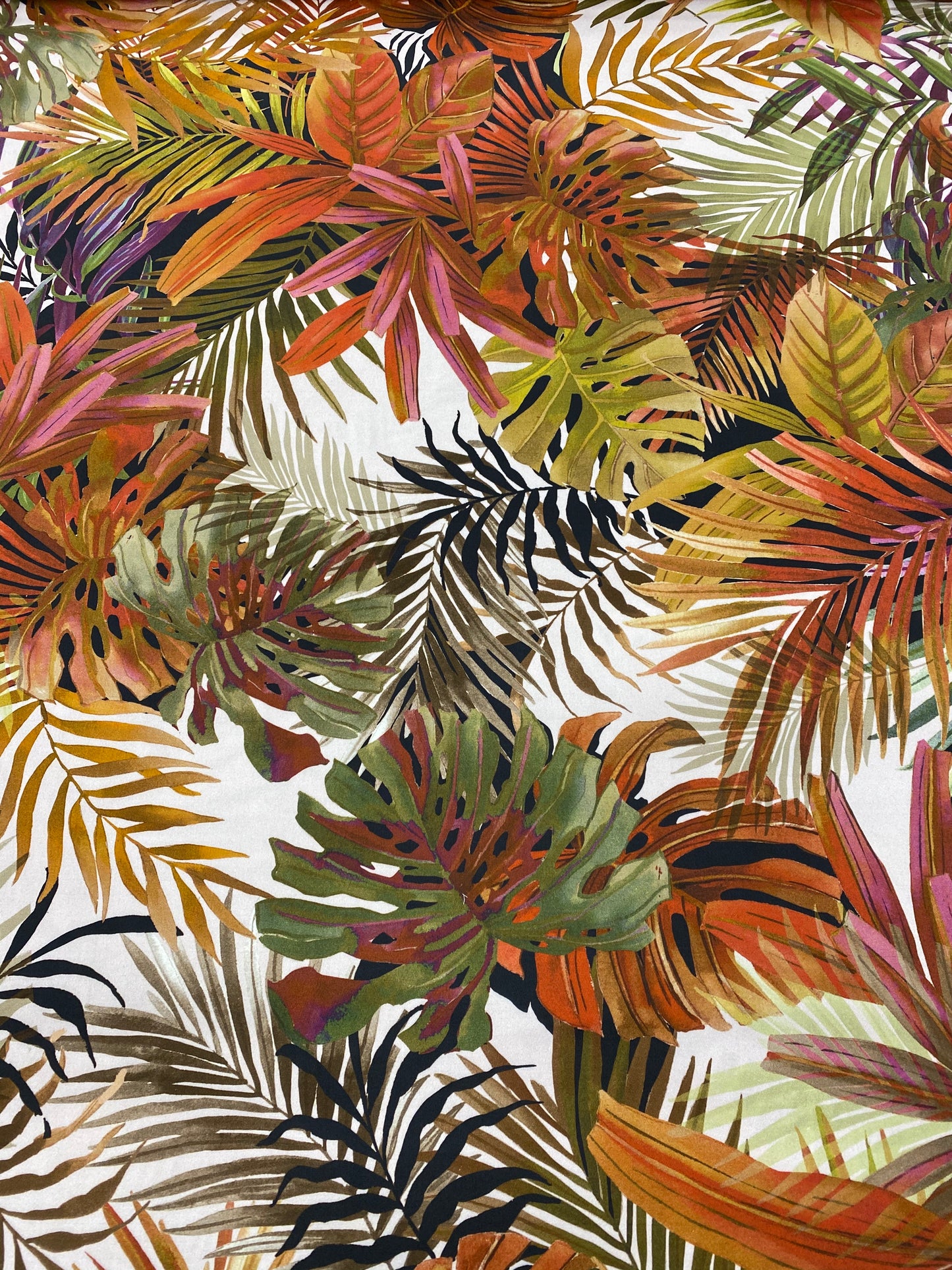 RASO COTONE ELASTICIZZATO