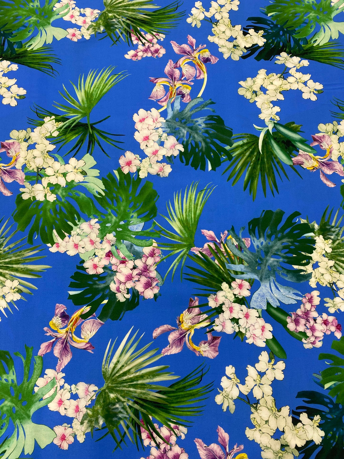 RASO COTONE ELASTICIZZATO